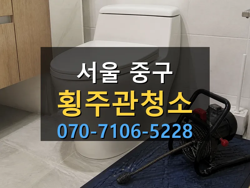 서울 중구 횡주관청소 싹쓰리배관