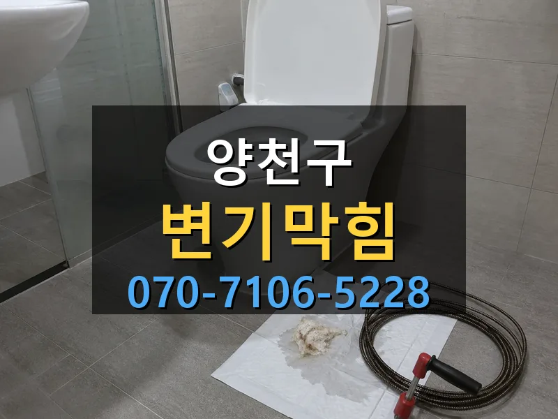 양천구 변기막힘 싹쓰리배관